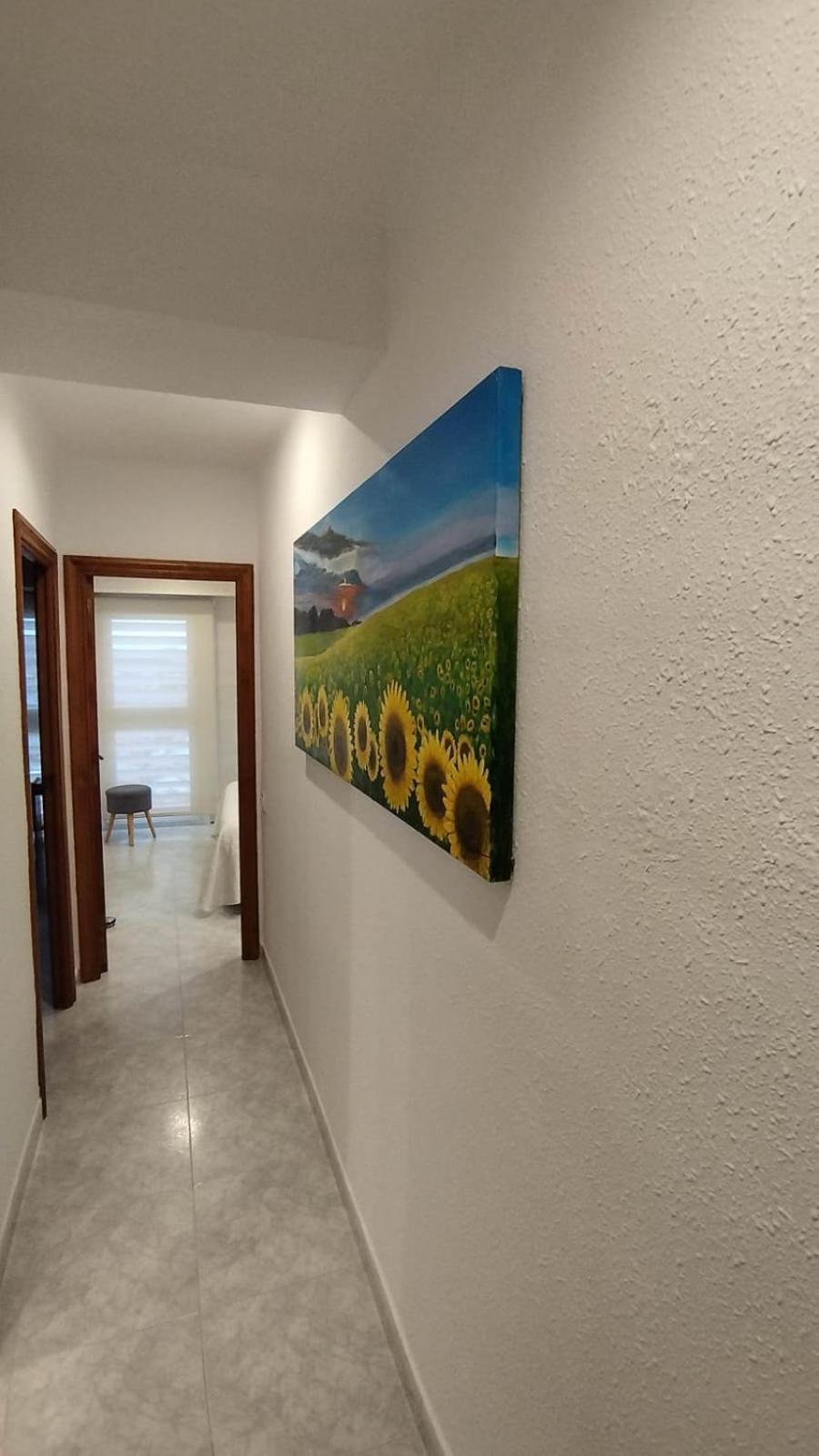 Apartamento Jaume II ปาลามอส ภายนอก รูปภาพ